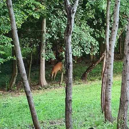 Kucica Za Odmor Дом отдыха *