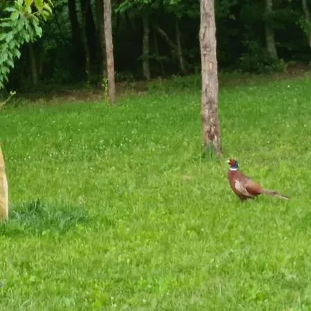 Kucica Za Odmor Srbac