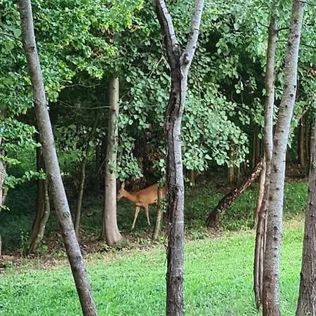 Kucica Za Odmor * Srbac